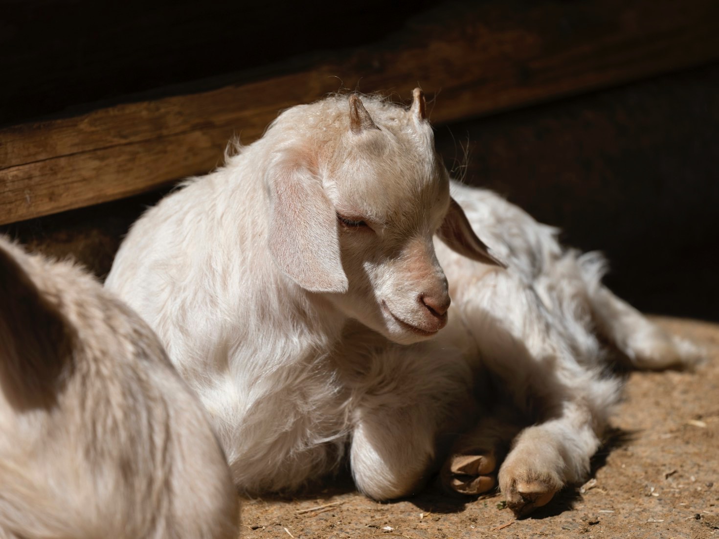 How Microgreens Can Transform Your Diet